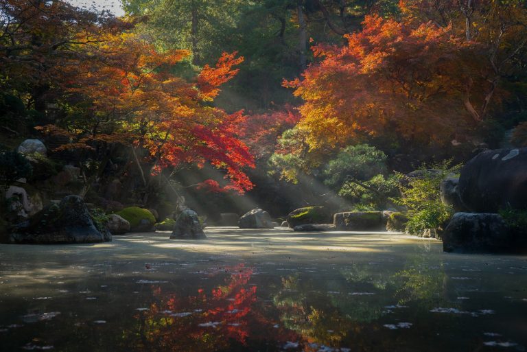 laque japonaise